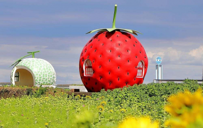 画像（写真・ロゴ等）