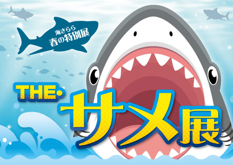 九十九島水族館海きらら春の特別展 THE・サメ展